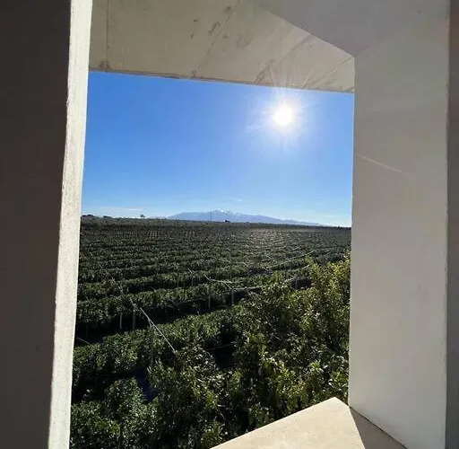 Apartment Garibaldina *